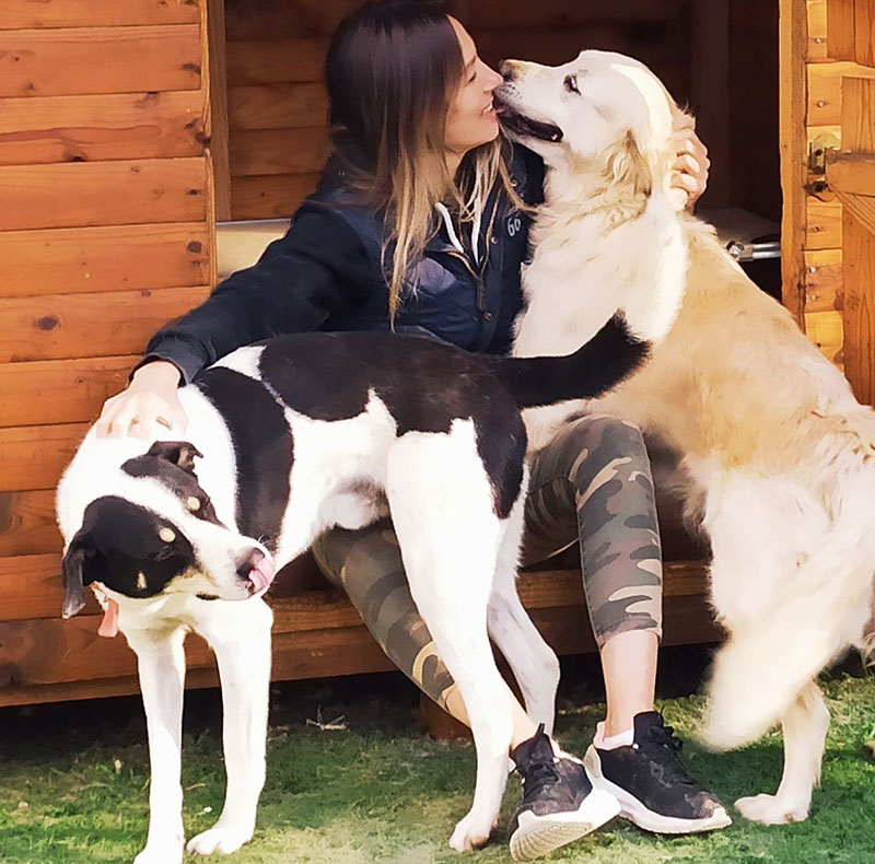 To iLoveDogs είναι μια μεγάλη οικογένεια